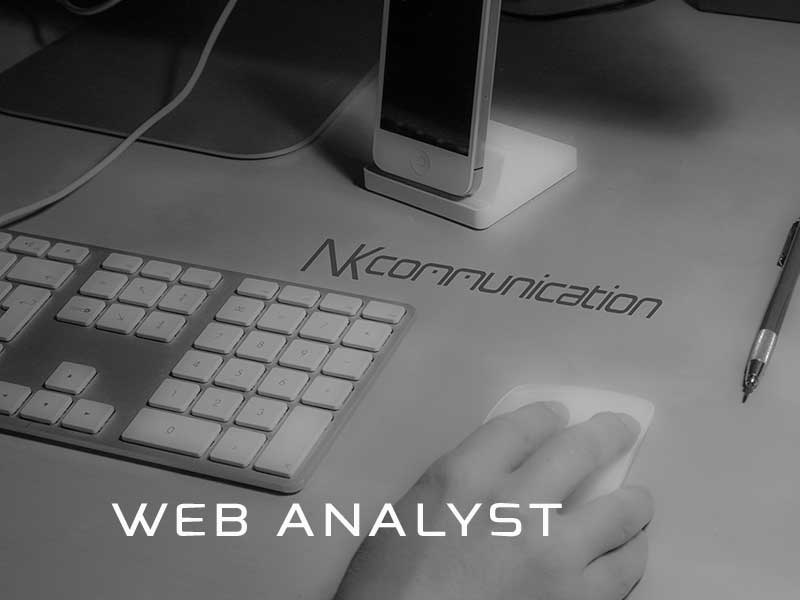 Web Analyst
